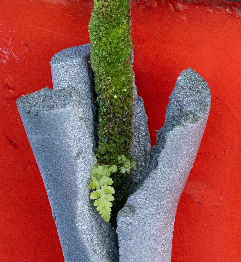 Red, Grey and Green - Dan Johnson